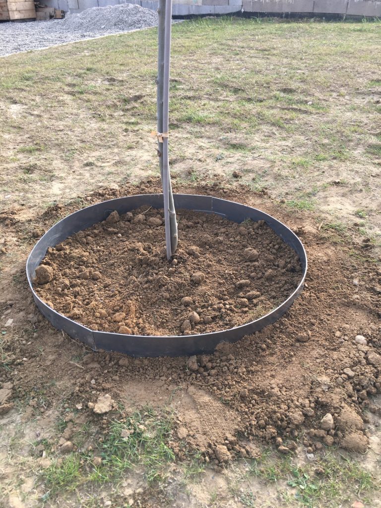 Bordures en acier Corten pour habillage arbre.