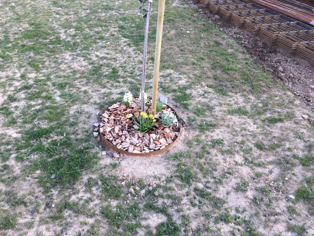 Bordures en acier Corten pour habillage arbre.